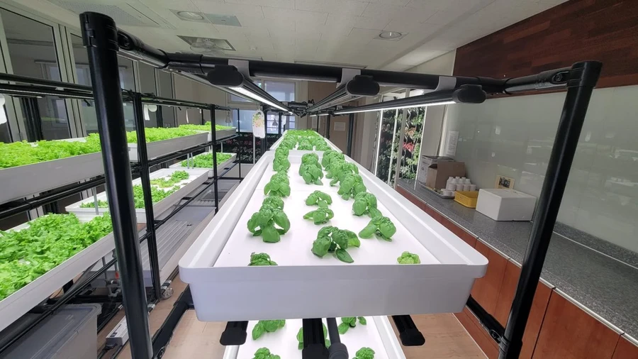 교사와 학생에게 AI스마트가든 활용 방법을 안내하는 모습