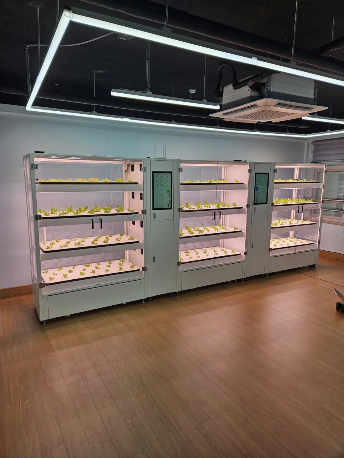 천안 성정초등학교 스마트가든 휴게공간 조명이 켜진 세로 재배 유닛